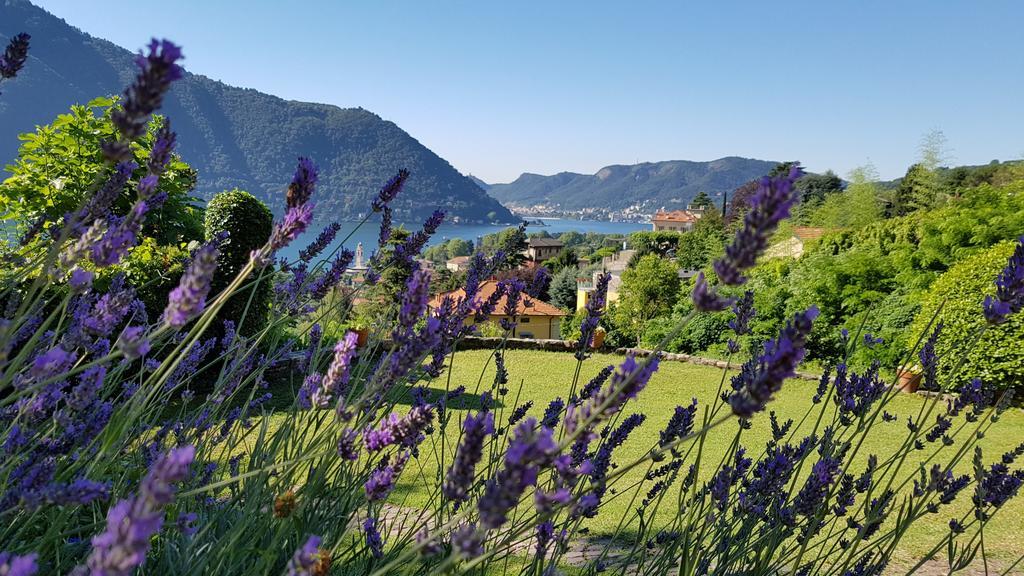 La Finestra Sul Lago Черноббио Экстерьер фото